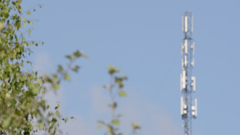 Rack-focus-from-tree-foliage-to-5G-mobile-phone-mast-structure,-telephoto