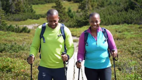 happy couple hiking in the mountains