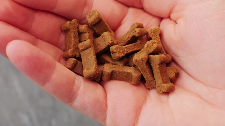 Food treats for dog on owner man hand . Dogs dainty on grey background close-up macro. Animals concept.