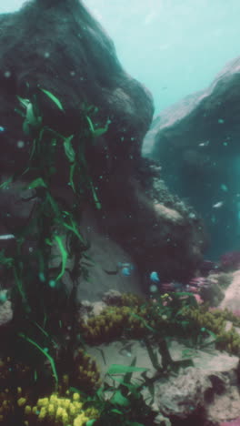 stunning underwater coral reef scene