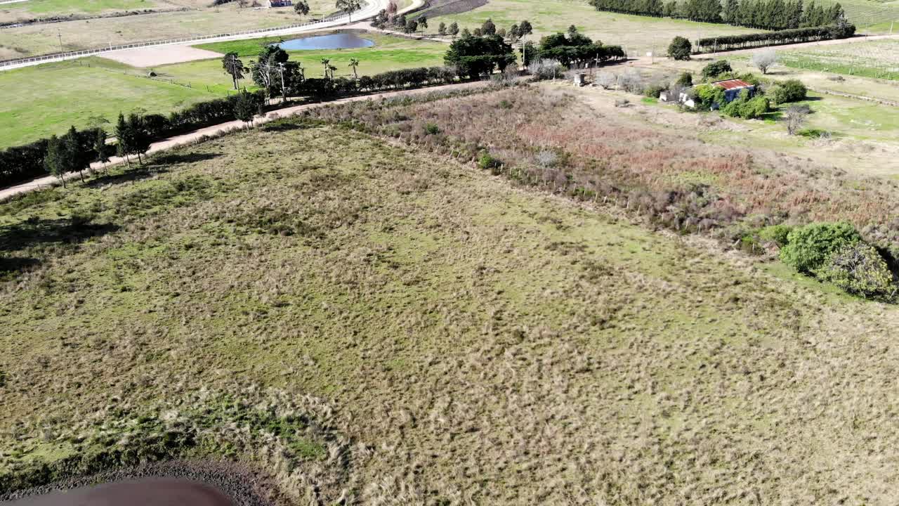 video aéreo de un lago en el campo con patos nadando