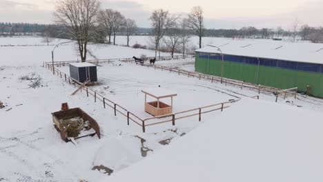 Aerial-view-of-a-snowy-farm-with-horses-in-northern-germany