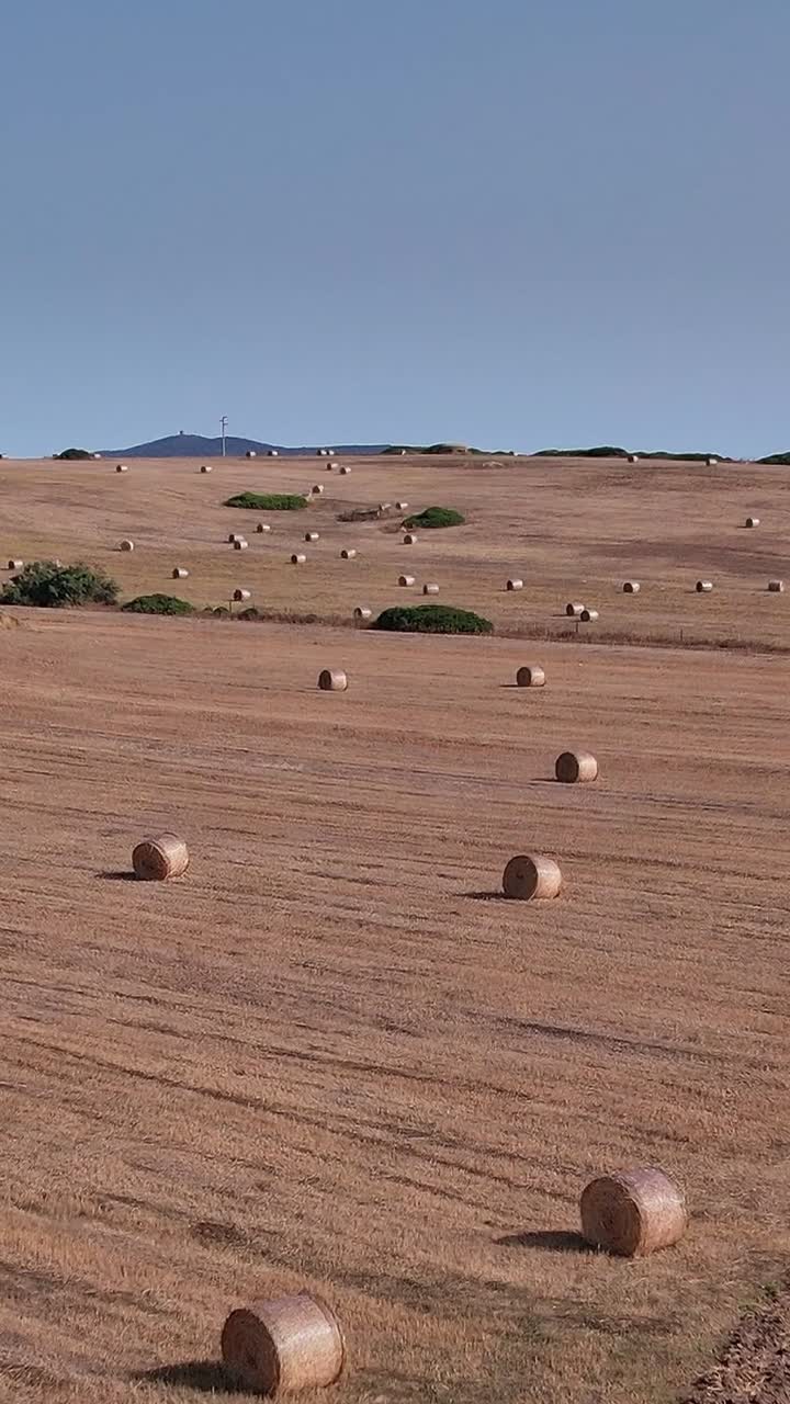 Landskap på Sardinien med rullade höbalar och tom väg på sommaren