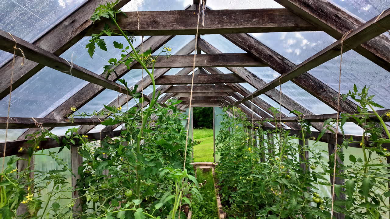 Inside view of a small greenhouse made up of wood. Slow motion shot.
