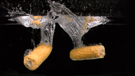 Corn-cobs-falling-into-water-in-super-slow-motion