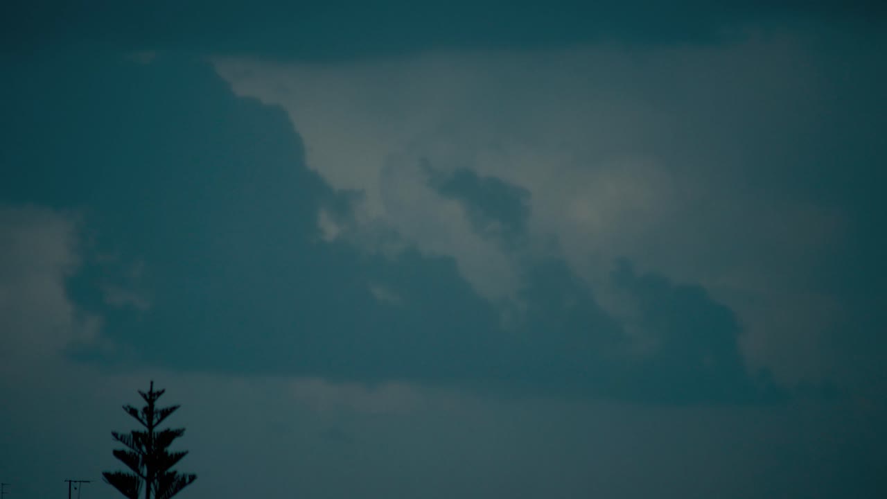 슬라이딩 구름, 어두운 파란 하늘, 폭풍의 날씨, 중동 텔 아비브, 이스라엘, 움직이는 나무, 소니 4k 비디오