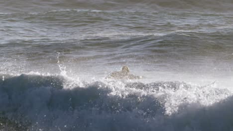 Surfistas-Surfeando-En-El-Mar