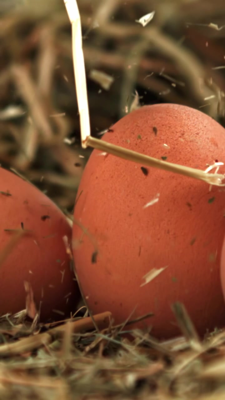 Slow Motion of Straw Piercing a Brown Egg