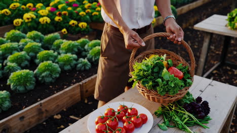 woman and man harvesting fresh vegetables from garden