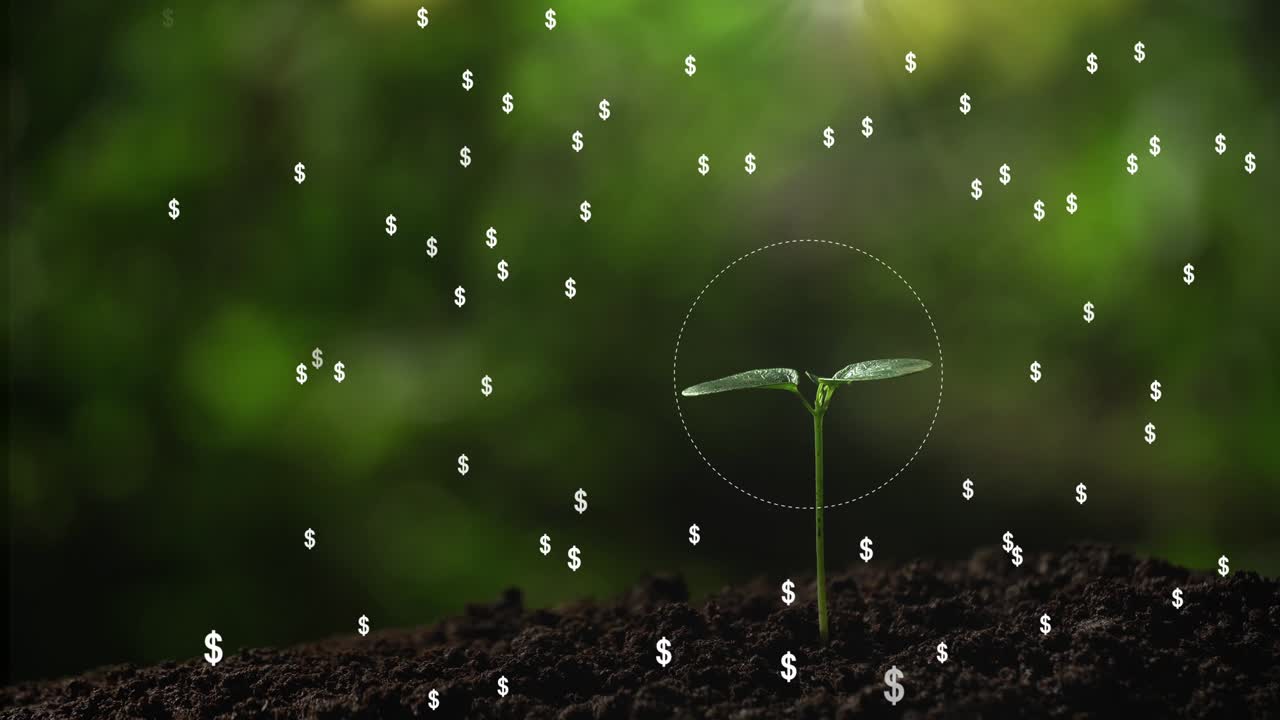 el concepto de crecimiento del negocio del árbol del dinero. el fondo del holograma del signo del dólar de bitcoin.