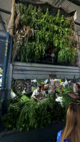 market stall piled high with various fresh green herbs and plants, with male vendors below. botany concept