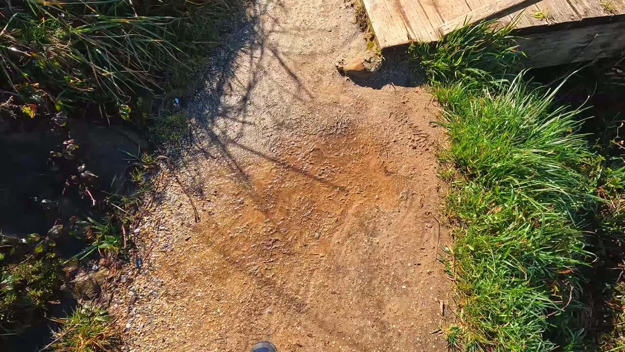 Views from a wooden bridge