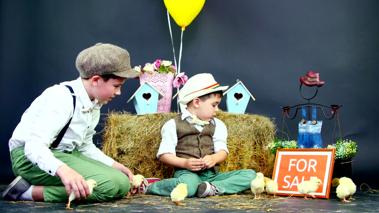 두 개의 마을, 세련된 옷을 입은 소년들이 오리 새끼와 과 함께 놀고, 배경에는 풀, 다채로운 새 집, 풍선과 꽃이 있습니다.