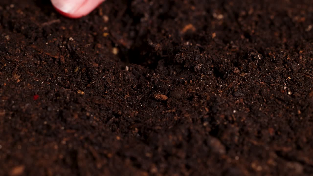 Hands plant a bean seed in dark soil, followed by watering. Close-up shots highlight the planting process