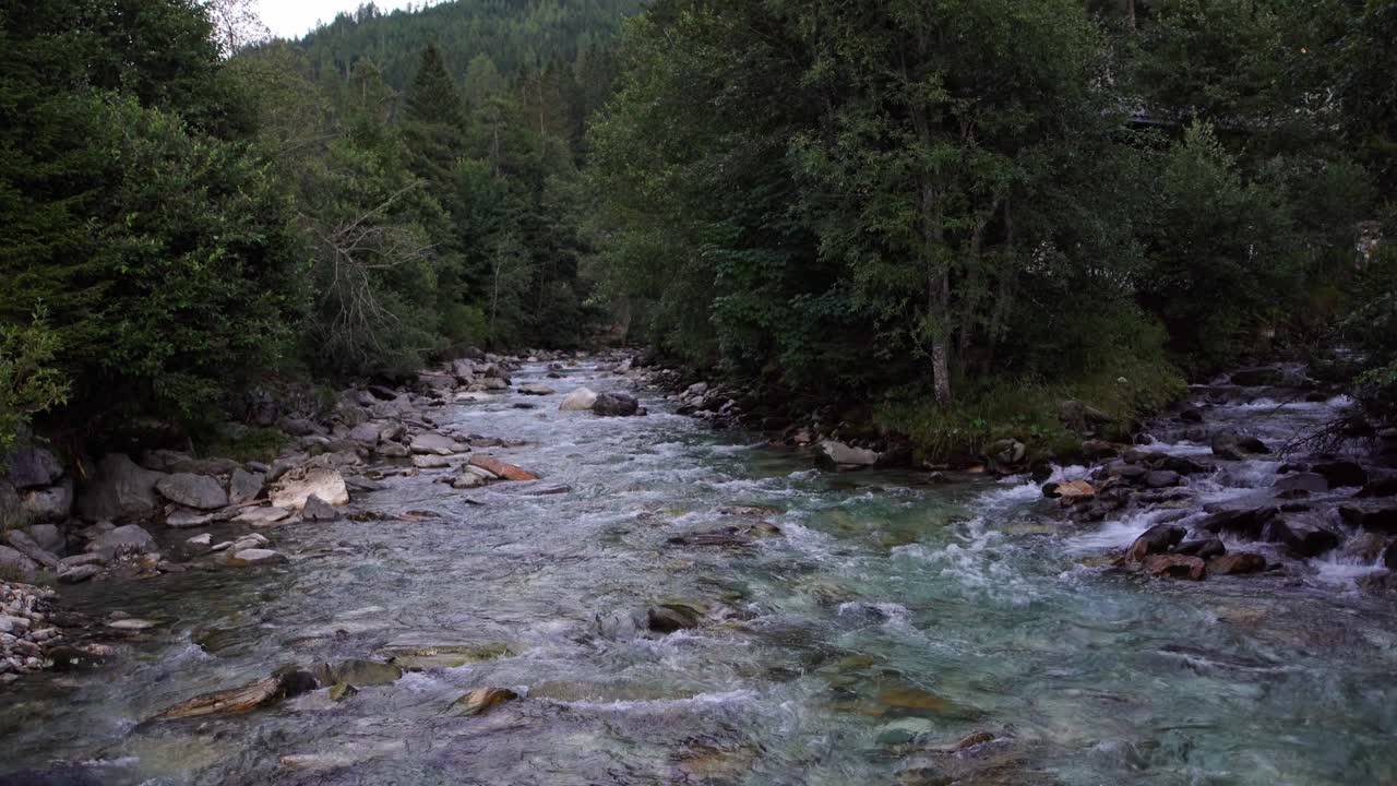 Serenità silvana: il fiume serpeggia attraverso una foresta incantata