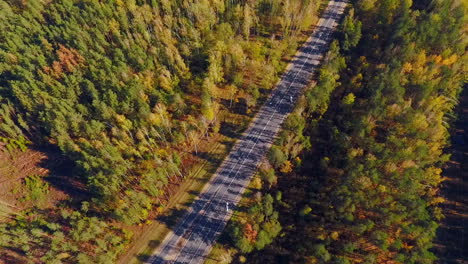 Luftautobahn-Am-Wald.-Luftaufnahme-Leere-Straße-In-Waldlandschaft