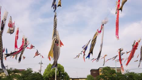 national holiday in japan, children's day carp fish streamers on display 4k