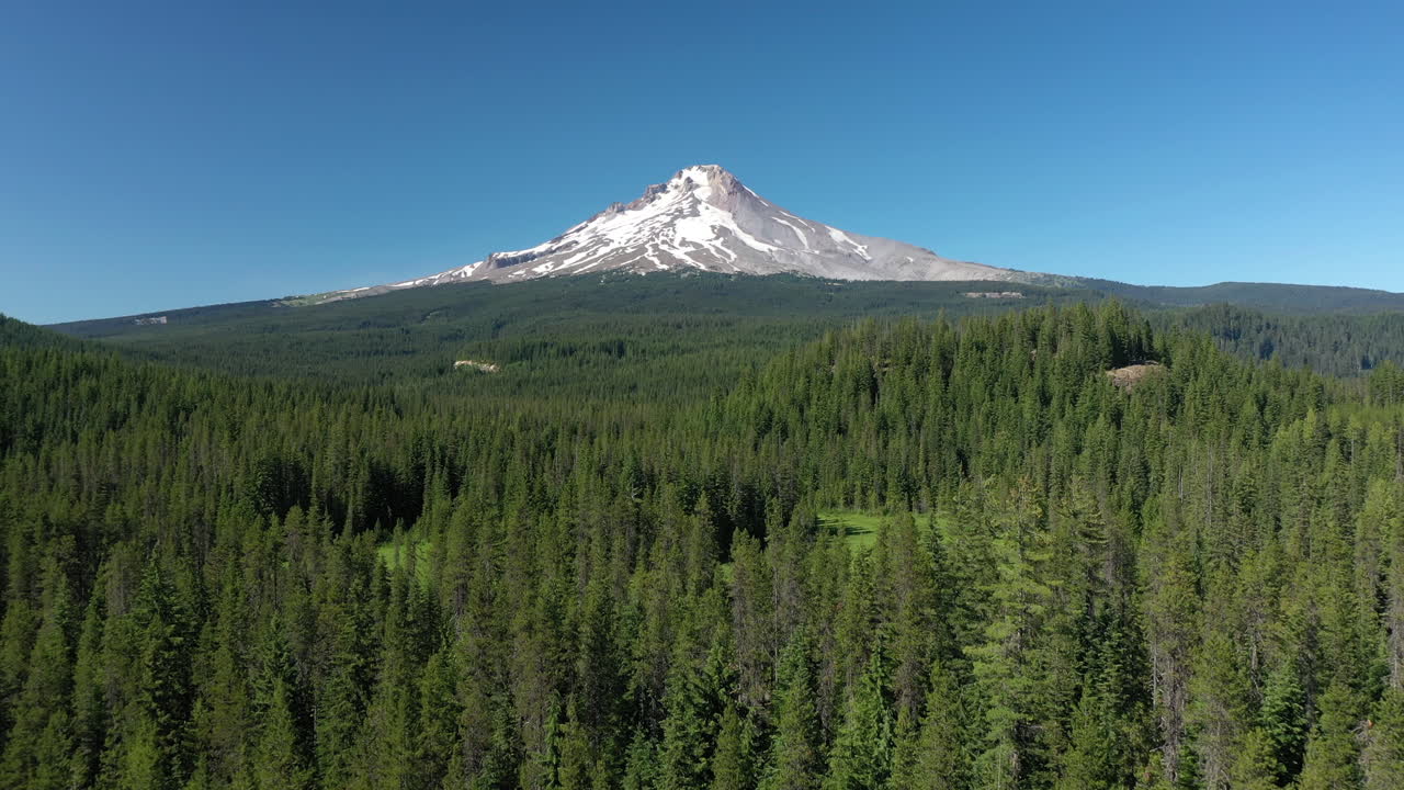 Veduta aerea su una foresta, verso il monte Hood innevato, in una giornata estiva e soleggiata negli USA.