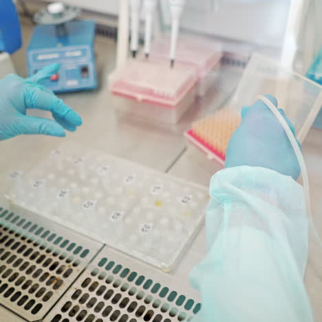 laboratory assistant working with test tubes. female hands in protective gloves filling vials with liquid by a special plastic tube in the laboratory.