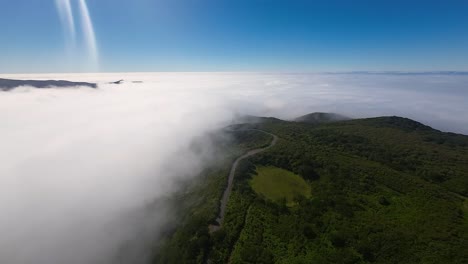 una toma panorámica de una carretera sinuosa que atraviesa la densa vegetación del bosque de fanal, isla de madeira, portugal, con el paisaje envuelto por nubes bajas y un cielo azul claro por encima