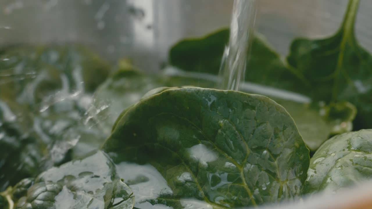 Primo piano di foglie di spinaci freschi sciacquate sotto acqua pulita
