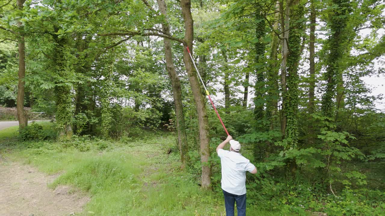 Man pruning a tree with a long pole in a forest