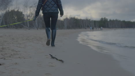 Mädchen,-Die-Mit-Ihrem-Hund-Am-Strand-Spazieren-Gehen---Zeitlupe-Nach-Unten