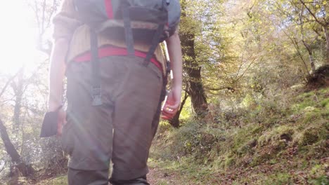 viajero caminando con mochila en el bosque