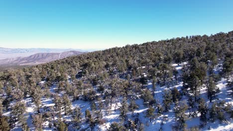 Hermosa-Toma-Aérea-Del-Cañón-Lee-En-Las-Montañas-Nevadas-De-Nevada,-Cerca-Del-Monte-Charleston