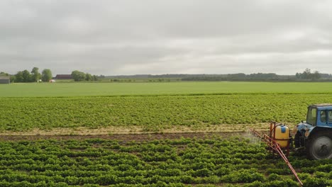 Toma-Circular-Aérea-Después-De-Un-Tractor-Rociando-El-Campo-De-Fresas-Contra-La-Enfermedad