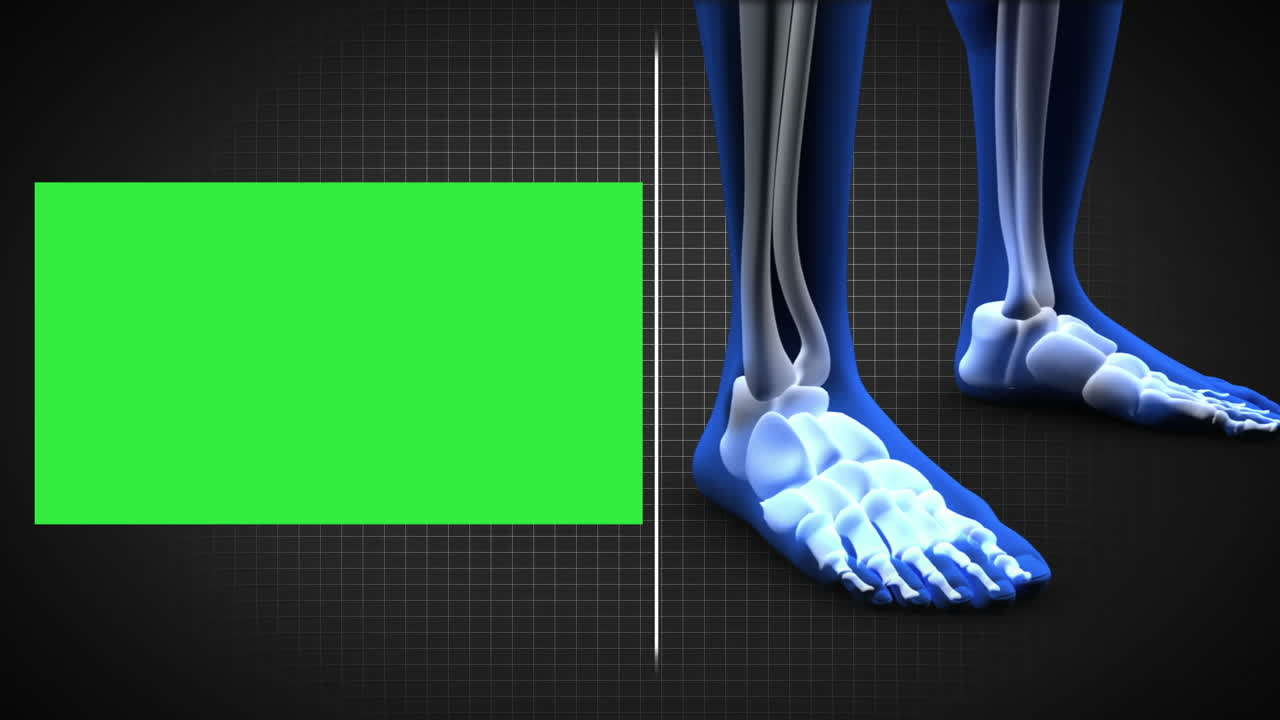 Premium stock video - Full human body scan showing skeleton wth copy spaces