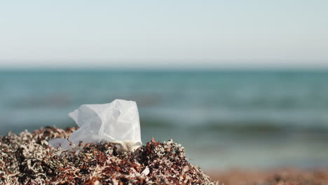 desechos plásticos en la costa de méxico