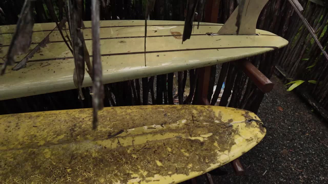 Worn surfboard surf foam board covered in moss, water sport surfing boardshop