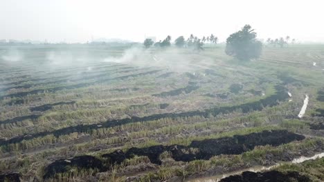 Scene-of-open-fire-at-rice-paddy-field-at-Malaysia,-Southeast-Asia.