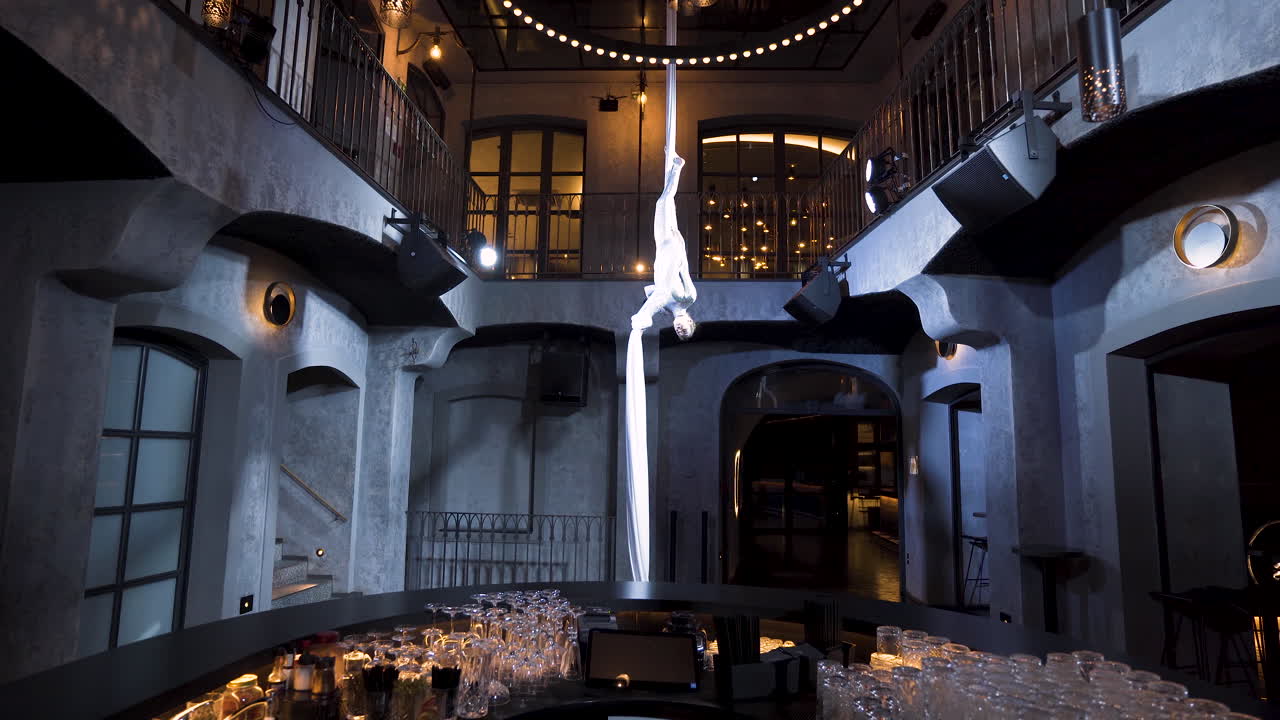 세로 분할 및 실크에 거꾸로 매달려 여성 공중 곡예사