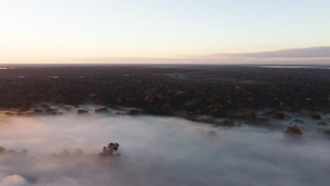 sunrise over the tambopata river