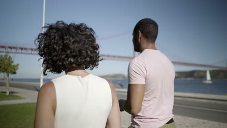 vista trasera de una pareja feliz caminando al aire libre