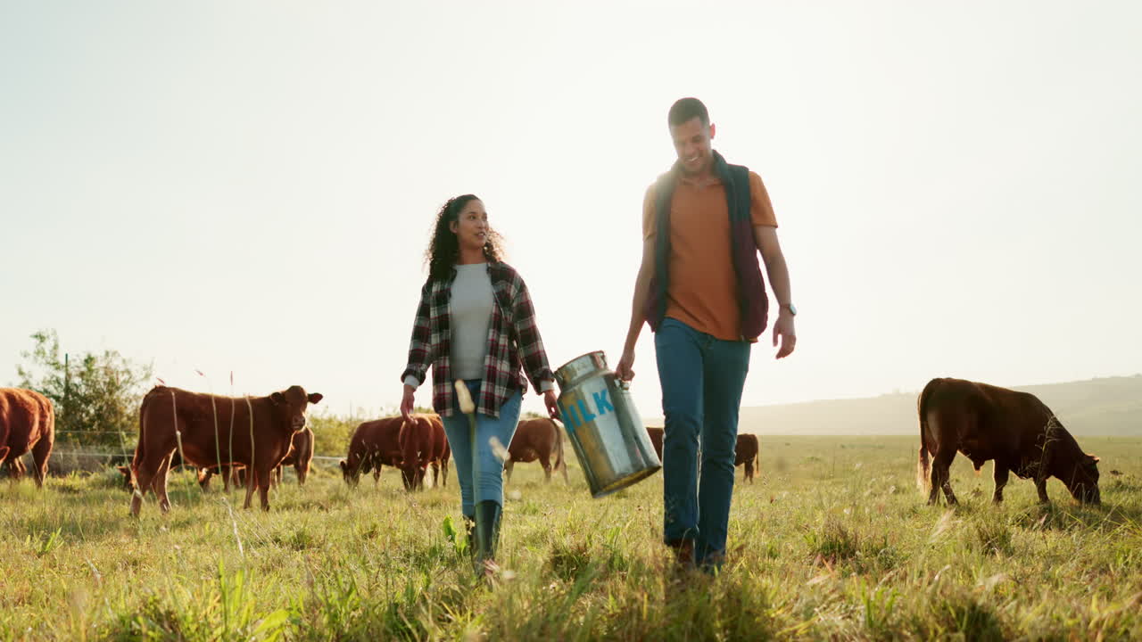 Farm, cow and milk with couple in countryside