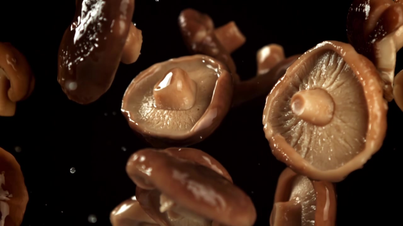 Fresh Shiitake Mushrooms with Water Drops Falling in Slow Motion