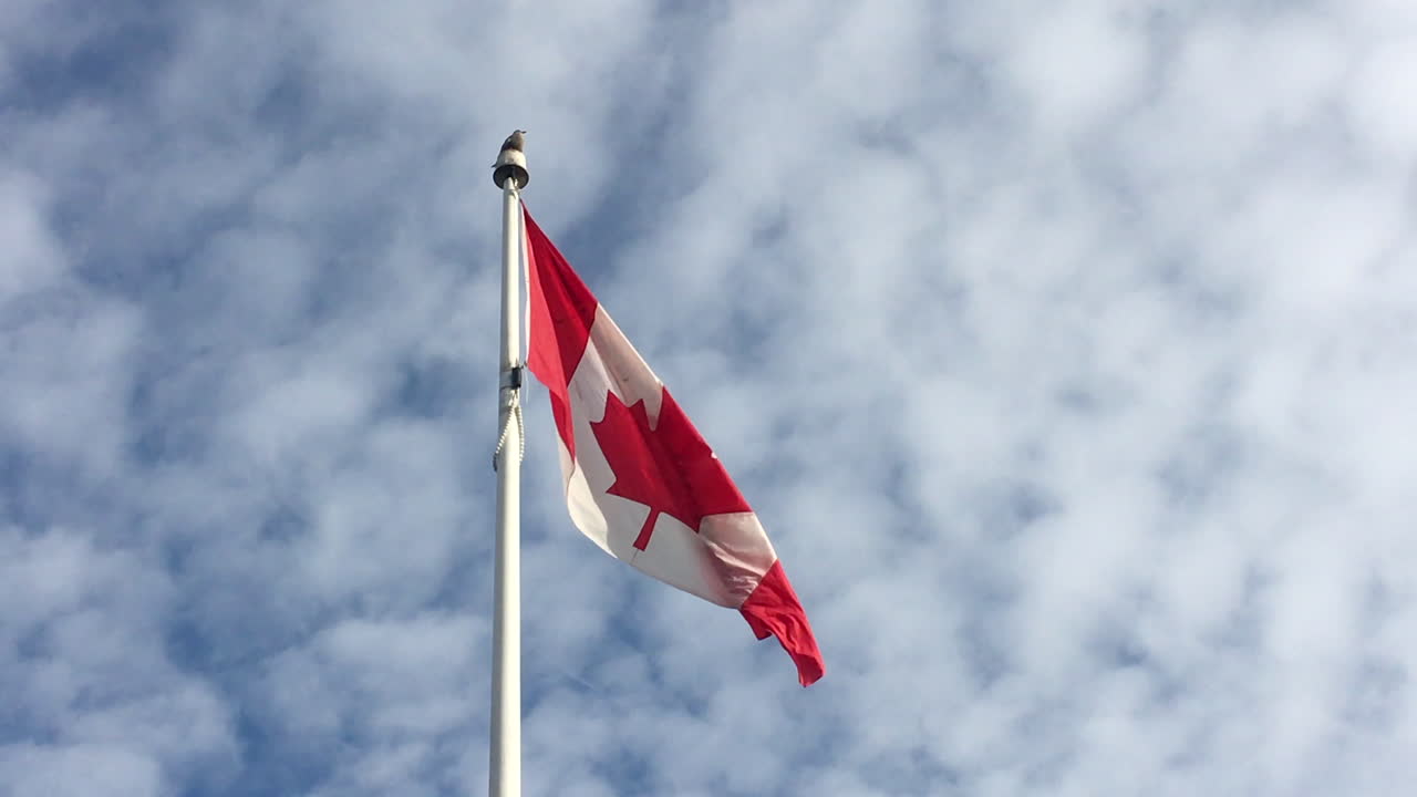RALLENTATORE: Bandiera canadese rossa e bianca che sventola contro un cielo parzialmente nuvoloso