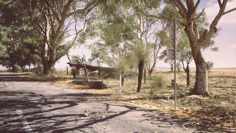 abandoned rural road surrounded by trees in a dry landscape during midday