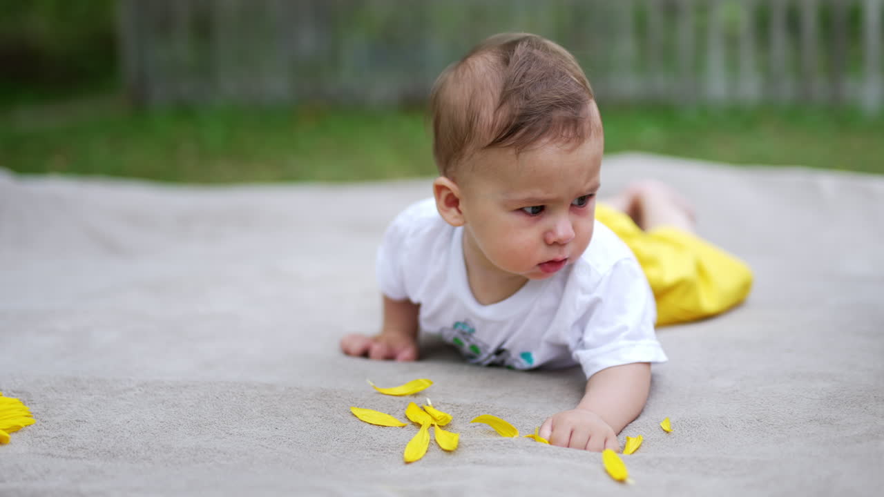 Nice cute baby boy lies on his belly outside on the plaid. Sunflower petals are in front of the kid but he looks away. Blurred backdrop.