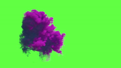 purple and blue ink explosion on green screen