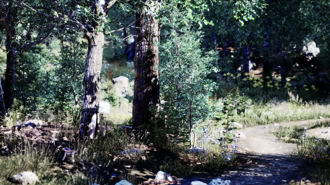 비 오는 날 도로 밖 의 진 ⁇  이 더러워