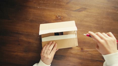e-commerce storage shop, woman packing goods and clothes for second hand delivery market, dedicated packaging and shipping workspace with supplies and technology for efficiency, online sales.
