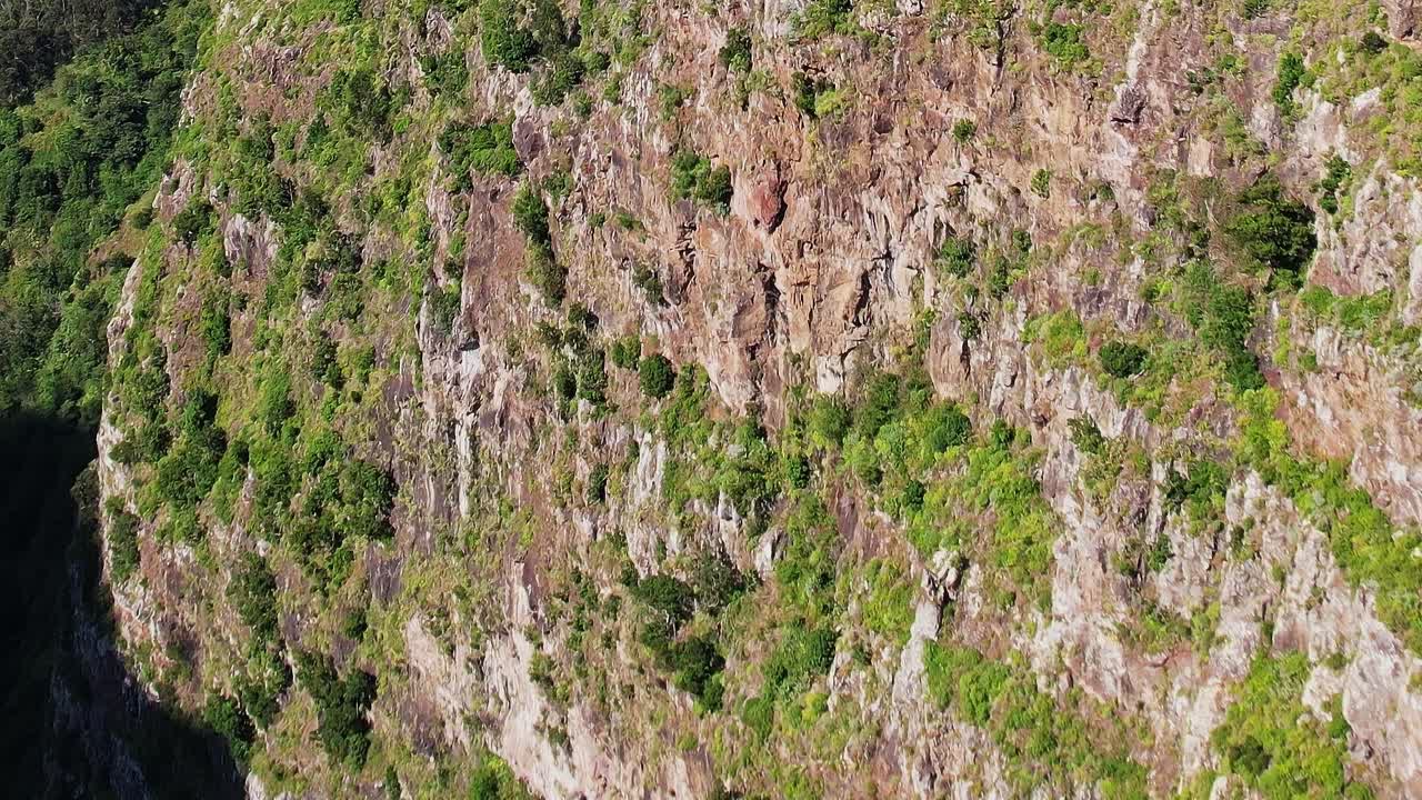 Stunning aerial view of Madeira's rugged cliffs with lush green vegetation