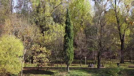 People-enjoying-walk-on-quiet-park-with-trees-forest-on-green-yellow-colors-of-autumn-of-a-sunny-day