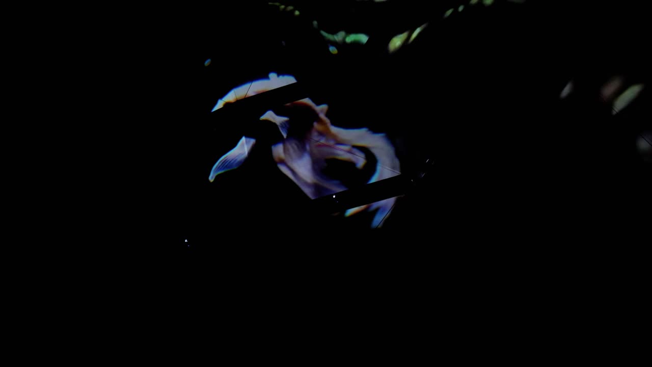 прекрасный ночной вид в токио