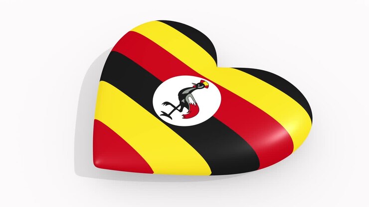 Cuore nei colori e simboli dell'Uganda su sfondo bianco, in loop