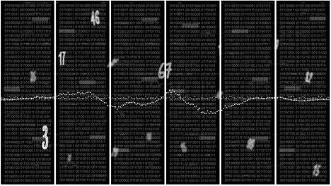 animation of numbers and data processing over servers